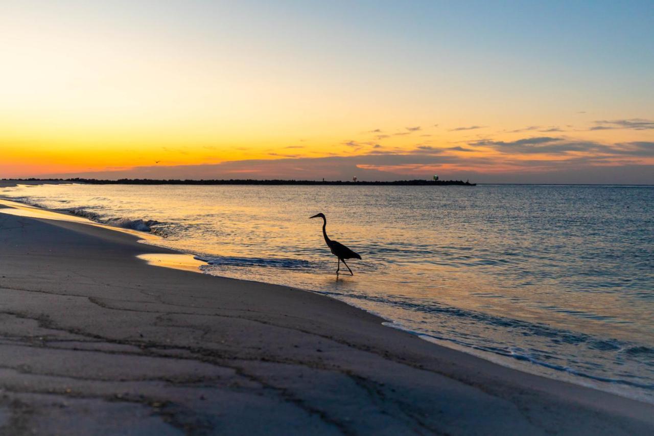 Perdido Beach Resort Ориндж Бийч Екстериор снимка